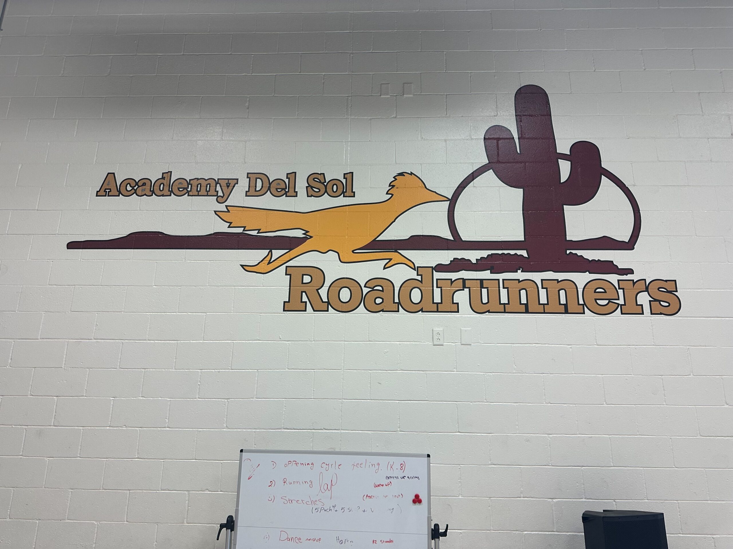 Middle school grades 6-8 student at Academy Del Sol